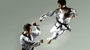 taekwon-do ITF contre taekwondo wt wtf