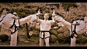 le fondateur du taekwondo général choi hong hi