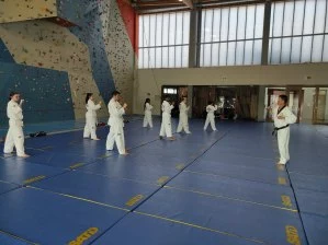 Taekwon-do ITF adultes