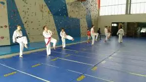 Taekwon-do ITF adultes