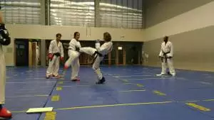 Taekwon-do ITF adultes