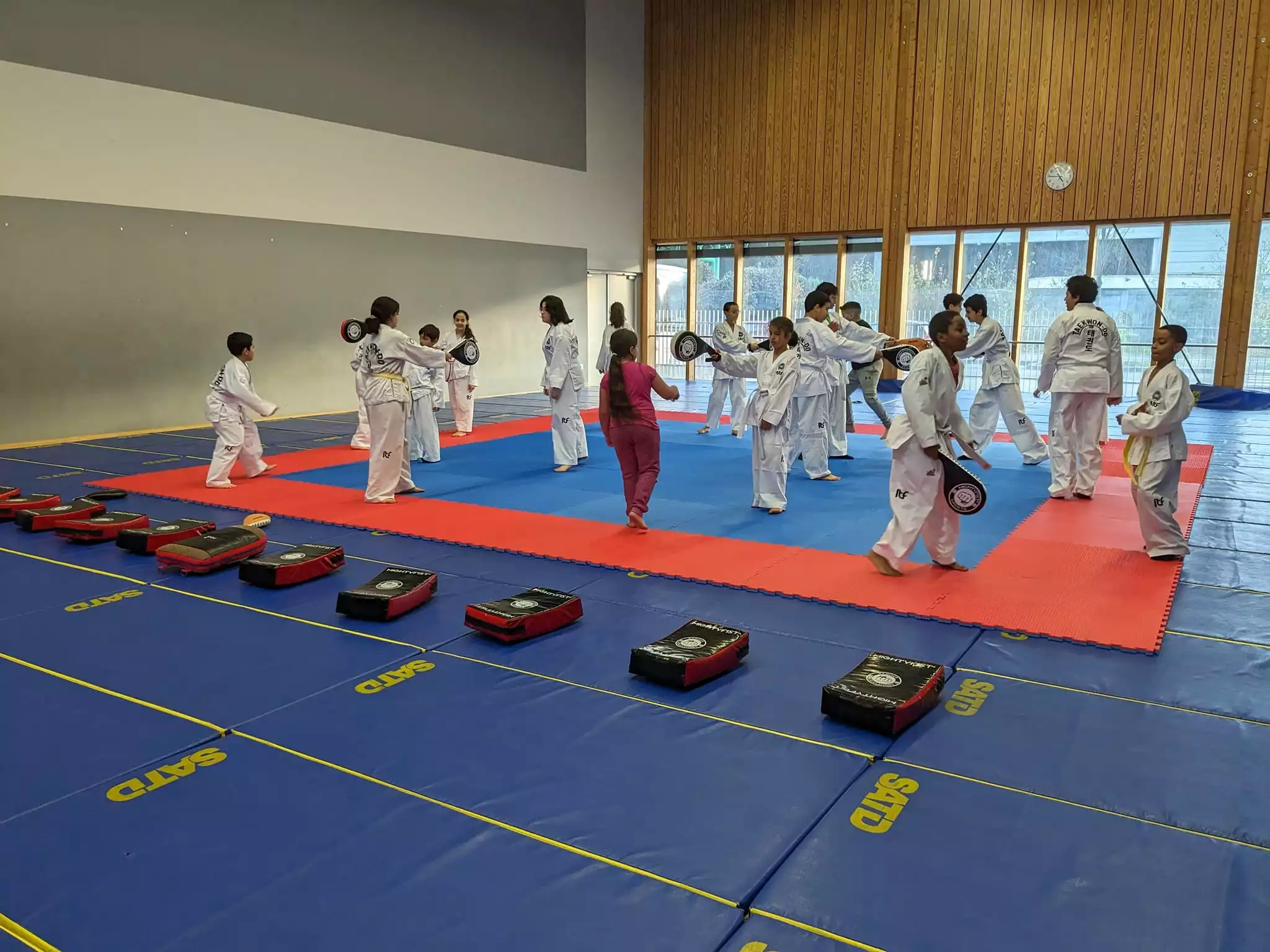 tapis ppuzzle taekwon-do