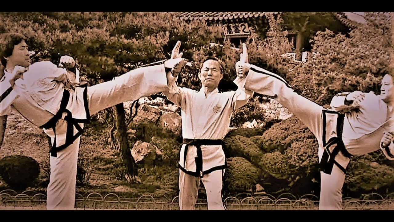 le fondateur du taekwondo général choi hong hi